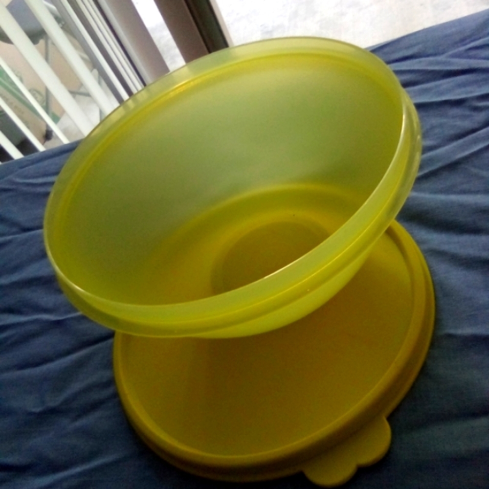 **BRAND NEW** TUPPERWARE'S ADORABLE EX.SMALL WONDERLIER BOWL